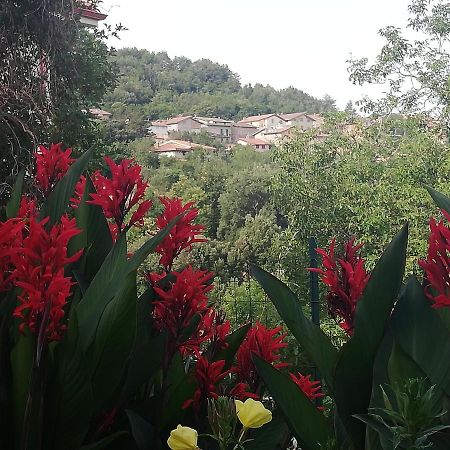 Agrifoglio B&B Con Giardino Aritzo Bagian luar foto