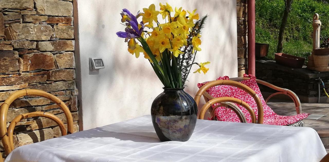 Agrifoglio B&B Con Giardino Aritzo Bagian luar foto