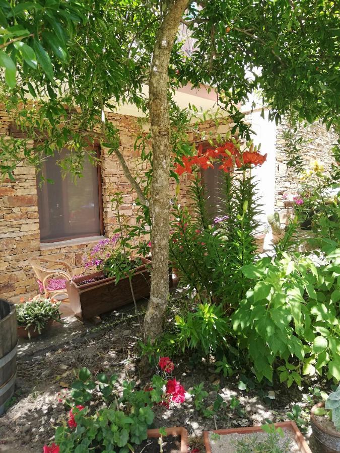Agrifoglio B&B Con Giardino Aritzo Bagian luar foto