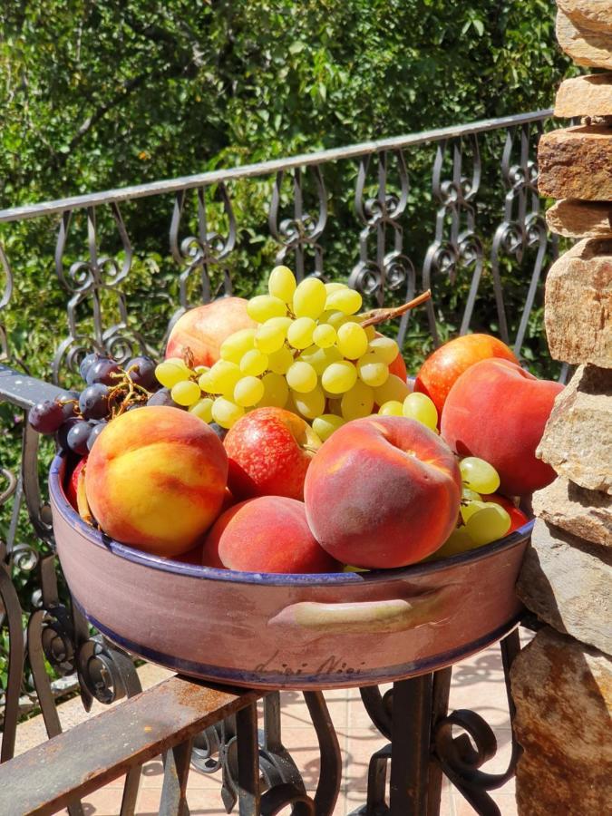 Agrifoglio B&B Con Giardino Aritzo Bagian luar foto