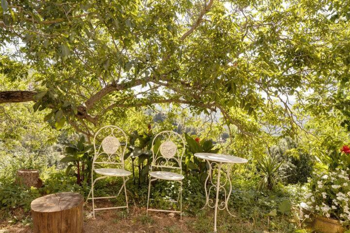 Agrifoglio B&B Con Giardino Aritzo Bagian luar foto